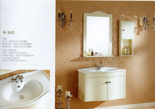 沈陽中德標致衛浴 專業衛浴潔具批發與直銷的首選